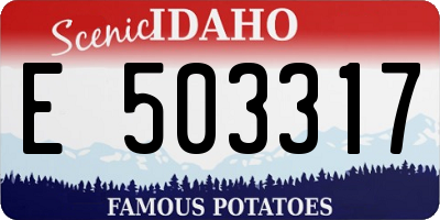 ID license plate E503317