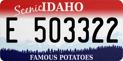 ID license plate E503322