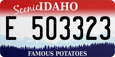 ID license plate E503323