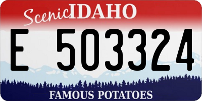 ID license plate E503324