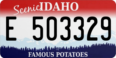 ID license plate E503329