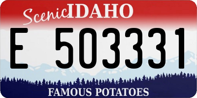 ID license plate E503331