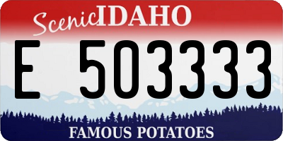 ID license plate E503333