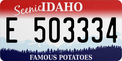 ID license plate E503334