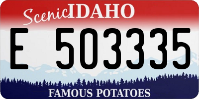 ID license plate E503335
