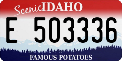 ID license plate E503336