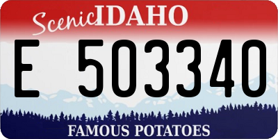 ID license plate E503340