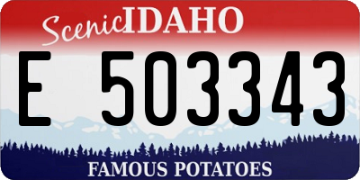 ID license plate E503343