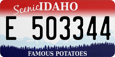 ID license plate E503344