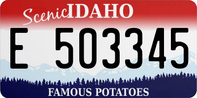 ID license plate E503345