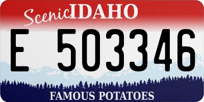 ID license plate E503346