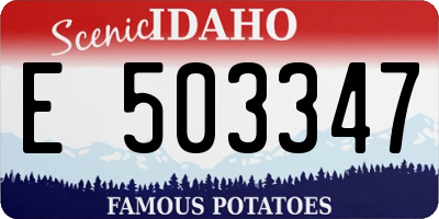 ID license plate E503347