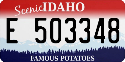 ID license plate E503348