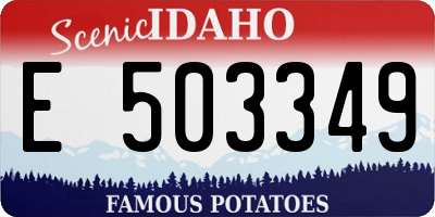 ID license plate E503349