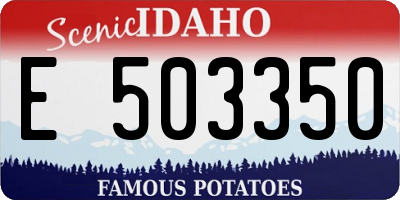 ID license plate E503350