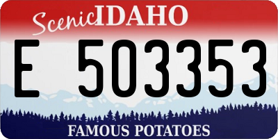ID license plate E503353