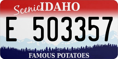 ID license plate E503357