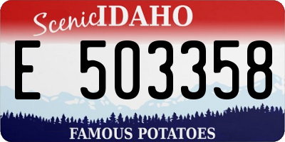 ID license plate E503358