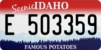 ID license plate E503359