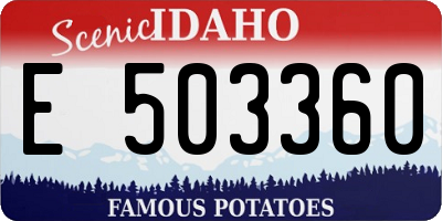 ID license plate E503360