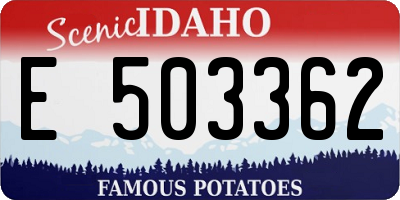 ID license plate E503362