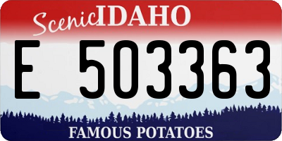 ID license plate E503363