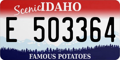 ID license plate E503364