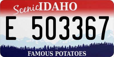 ID license plate E503367