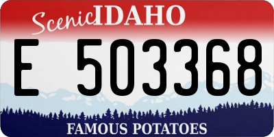 ID license plate E503368