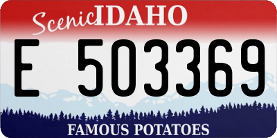 ID license plate E503369