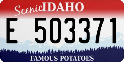 ID license plate E503371