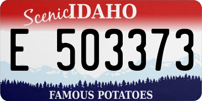 ID license plate E503373