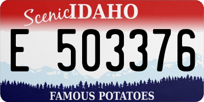 ID license plate E503376