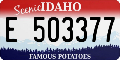 ID license plate E503377