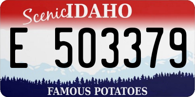 ID license plate E503379