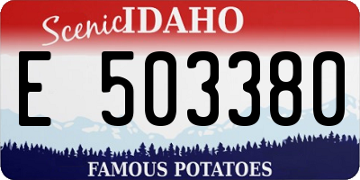ID license plate E503380