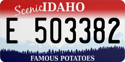 ID license plate E503382