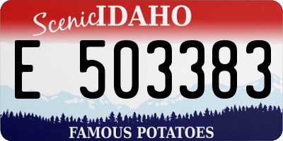 ID license plate E503383