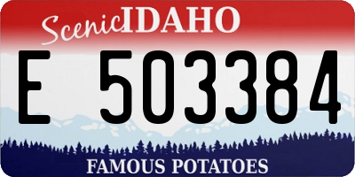 ID license plate E503384
