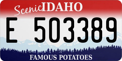 ID license plate E503389