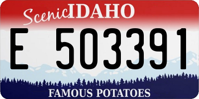 ID license plate E503391