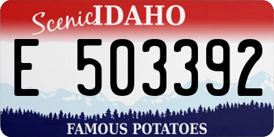 ID license plate E503392