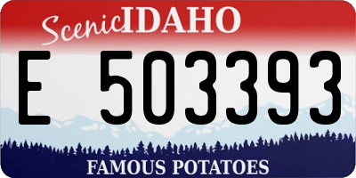 ID license plate E503393