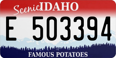 ID license plate E503394