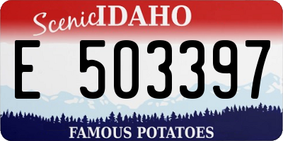 ID license plate E503397