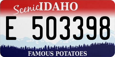 ID license plate E503398