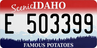 ID license plate E503399