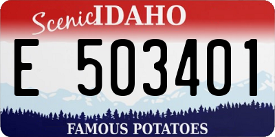 ID license plate E503401