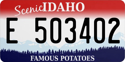 ID license plate E503402