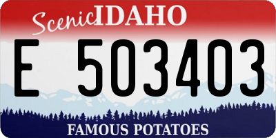 ID license plate E503403
